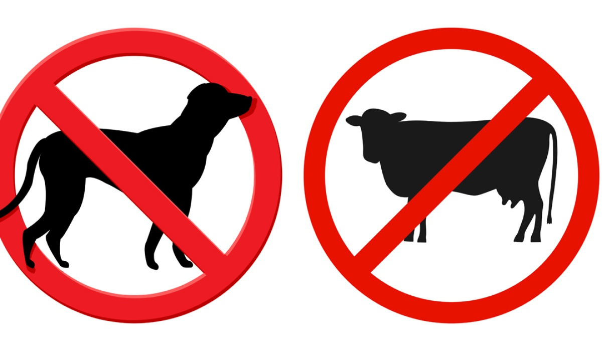 Legeltetési tilalom és ebzárlat